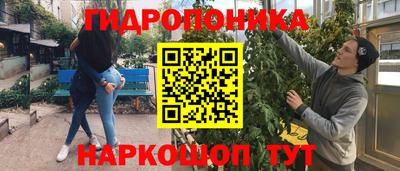 прущие крисы Донской