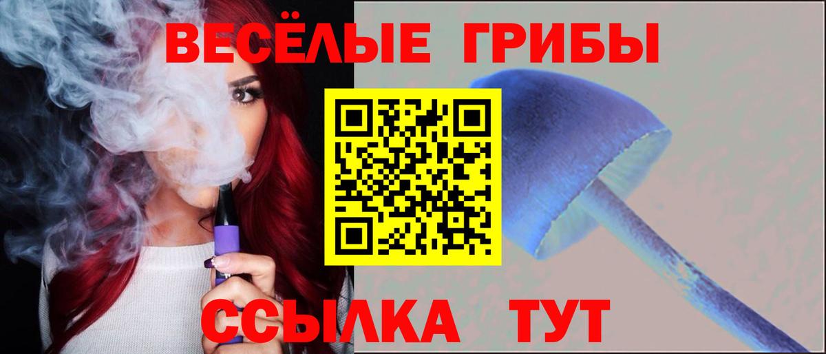 Минусинск  Галлюциногенные грибы Psilocybine cubensis  Вход с VPN  Псилоцибиновые грибы GOLDEN TEACHER 